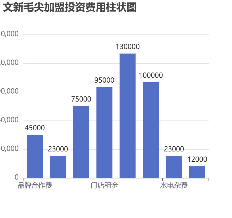 文新毛尖加盟投資費用柱狀圖表