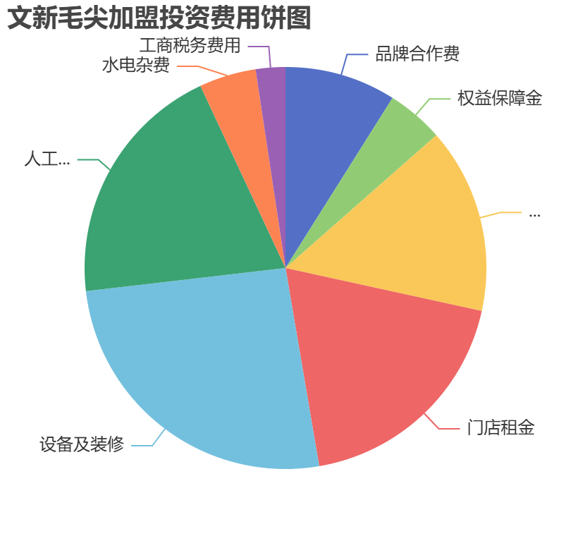 文新毛尖加盟投資費用餅狀圖表